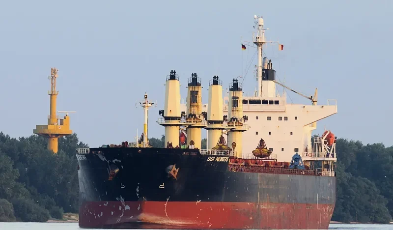 SSI NEMESIS Bulk Carrier IMO 9311529 photo 6