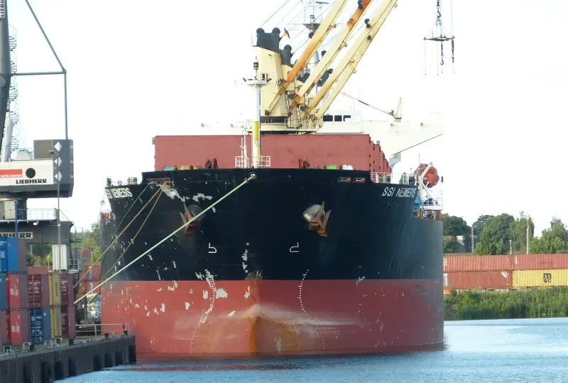 SSI NEMESIS Bulk Carrier IMO 9311529 photo 7