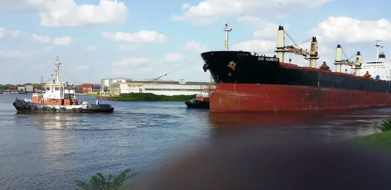 SSI NEMESIS Bulk Carrier IMO 9311529 photo 8