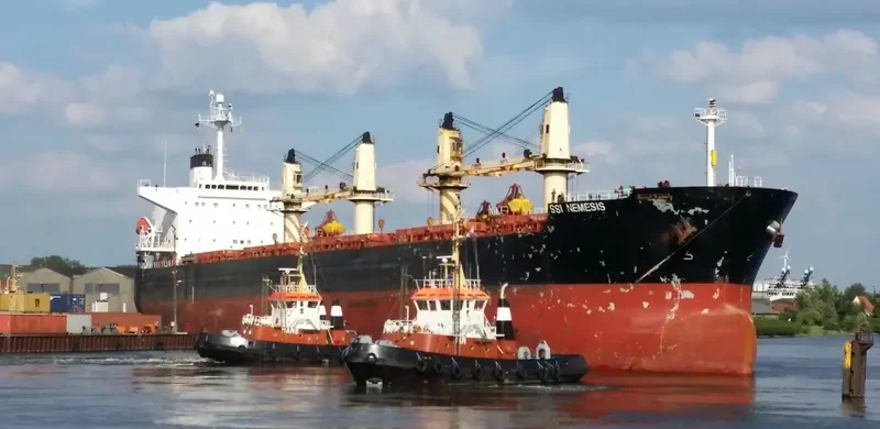 SSI NEMESIS Bulk Carrier IMO 9311529 photo 9