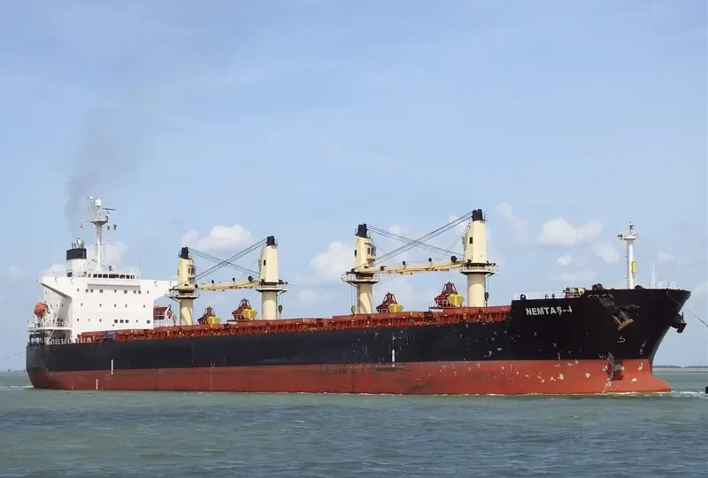 SSI NEMESIS Bulk Carrier IMO 9311529 photo 10