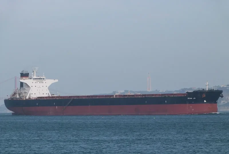 JEAN LD Bulk Carrier IMO 9311593 photo 2