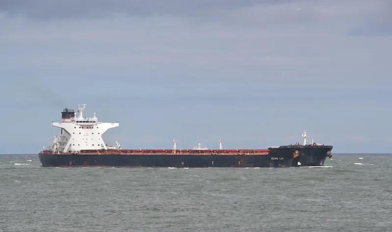JEAN LD Bulk Carrier IMO 9311593 photo 8