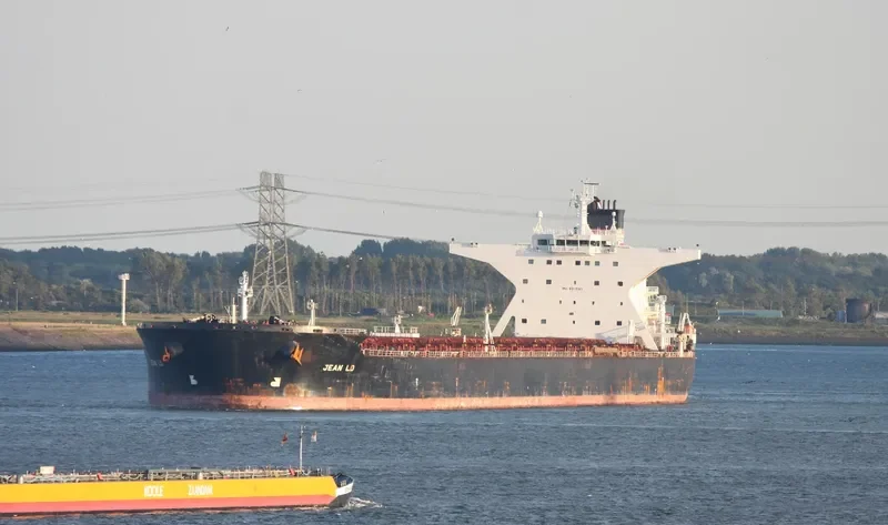 JEAN LD Bulk Carrier IMO 9311593 photo 9