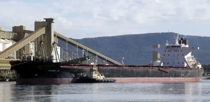 STAR LADY Bulk Carrier IMO 9311608 photo 4