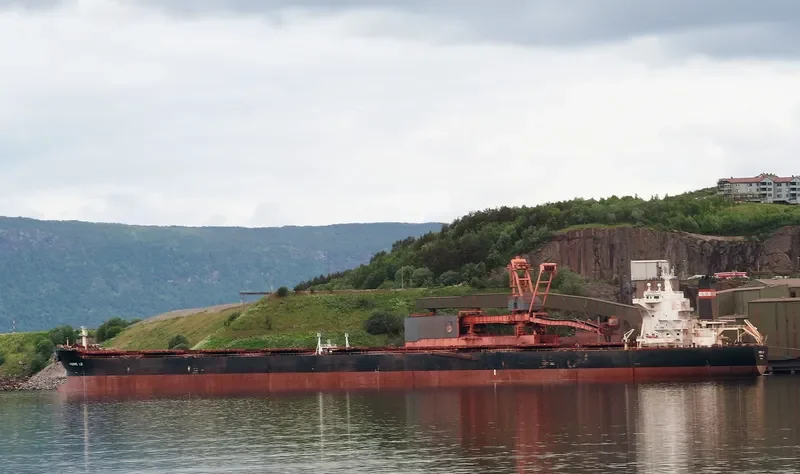 STAR LADY Bulk Carrier IMO 9311608 photo 6