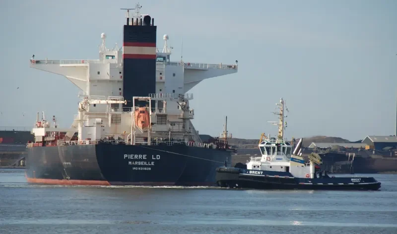 STAR LADY Bulk Carrier IMO 9311608 photo 8