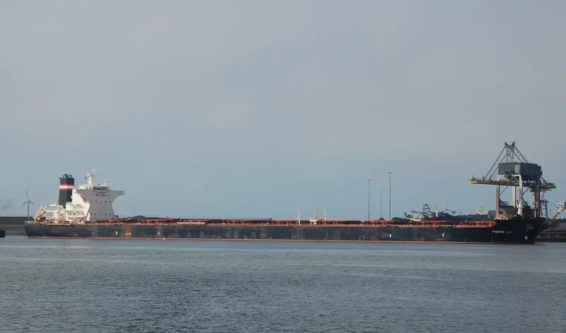 STAR LADY Bulk Carrier IMO 9311608 photo 10
