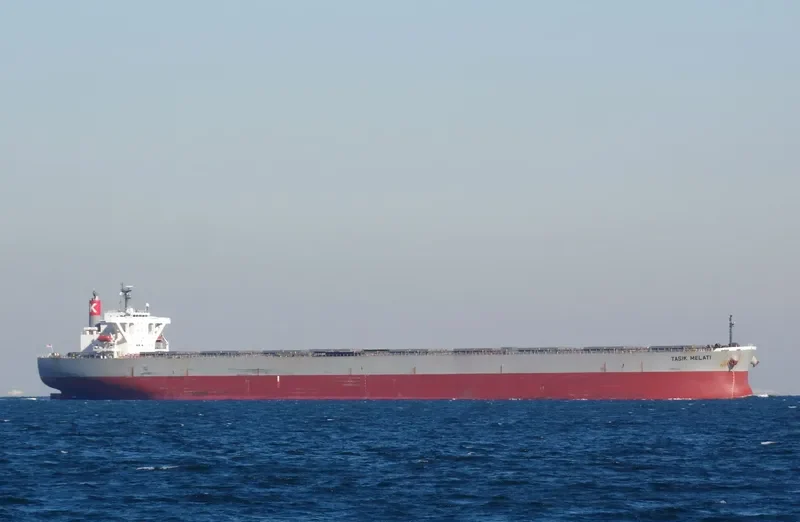 TASIK MELATI Bulk Carrier IMO 9311828 photo 2