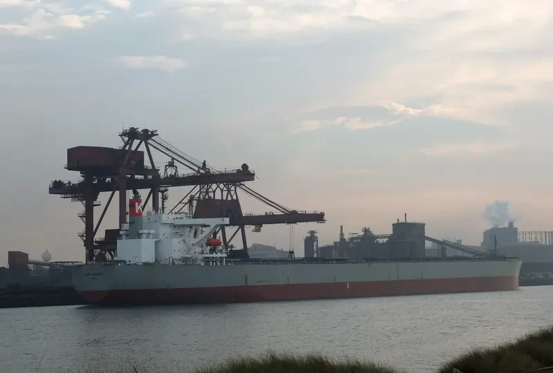 TASIK MELATI Bulk Carrier IMO 9311828 photo 3