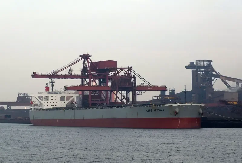 TASIK MELATI Bulk Carrier IMO 9311828 photo 4
