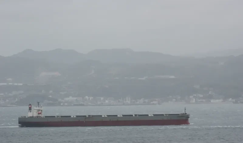 TASIK MELATI Bulk Carrier IMO 9311828 photo 5