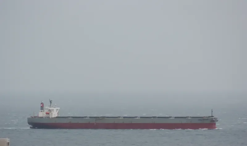TASIK MELATI Bulk Carrier IMO 9311828 photo 6