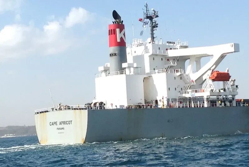 TASIK MELATI Bulk Carrier IMO 9311828 photo 8