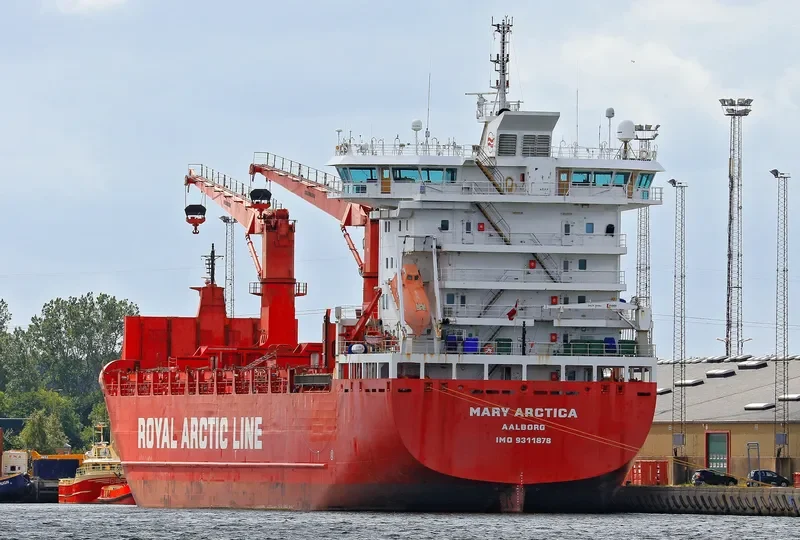 MARY ARCTICA Container Ship IMO 9311878 photo 2