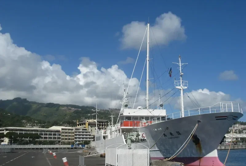 KAIHATSU MARU General Cargo IMO 9311907 photo 3