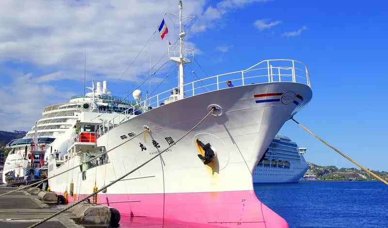 KAIHATSU MARU General Cargo IMO 9311907 photo 6