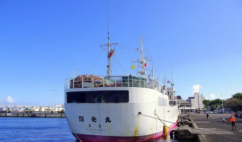 KAIHATSU MARU General Cargo IMO 9311907 photo 7