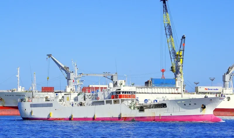 KAIHATSU MARU General Cargo IMO 9311907 photo 9