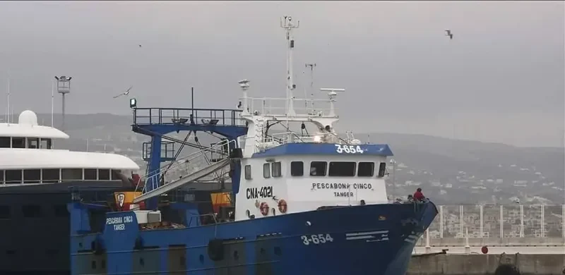 PESCABONA CINCO General Cargo IMO 9312004 photo 2