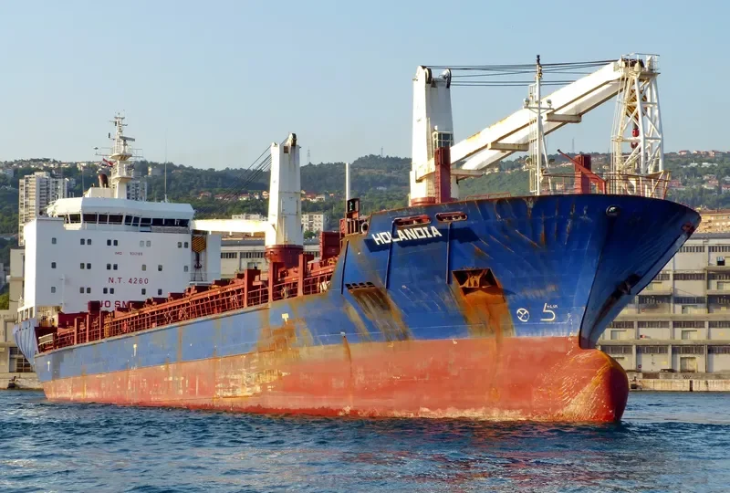 HOLANDIA General Cargo IMO 9312169 photo 8