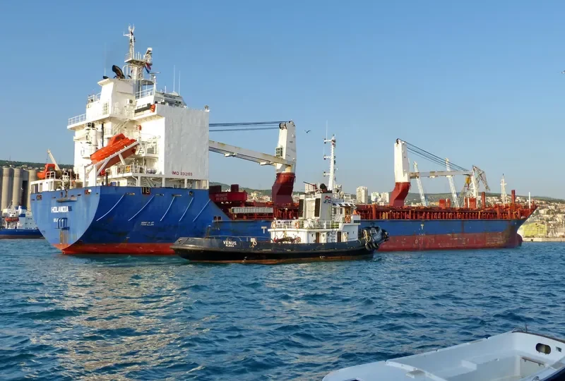 HOLANDIA General Cargo IMO 9312169 photo 9
