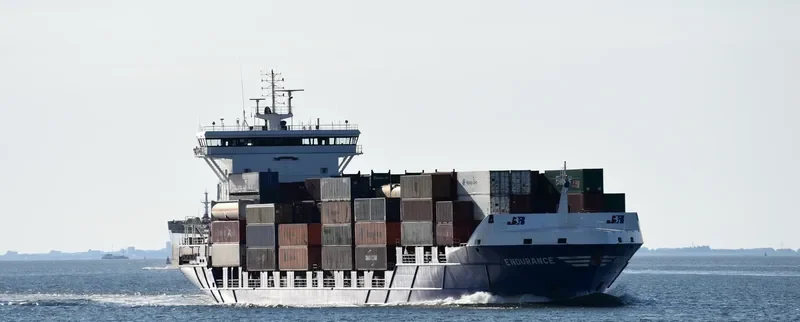 ENDURANCE Container Ship IMO 9312200 photo 8