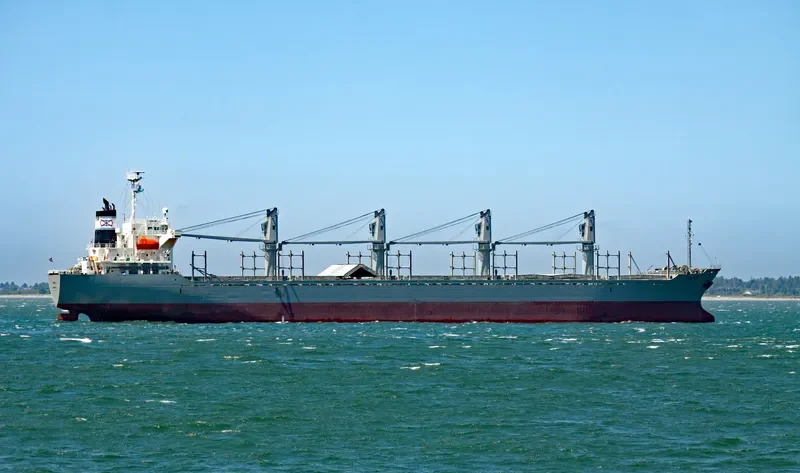 THETIS Bulk Carrier IMO 9312315 photo 2