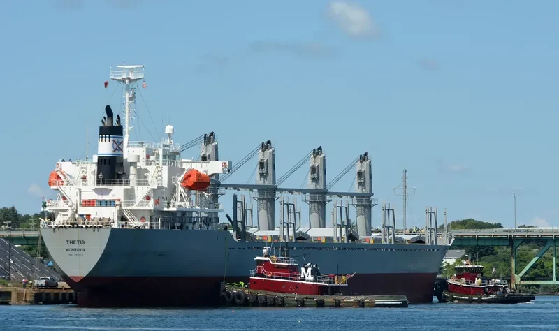 THETIS Bulk Carrier IMO 9312315 photo 4