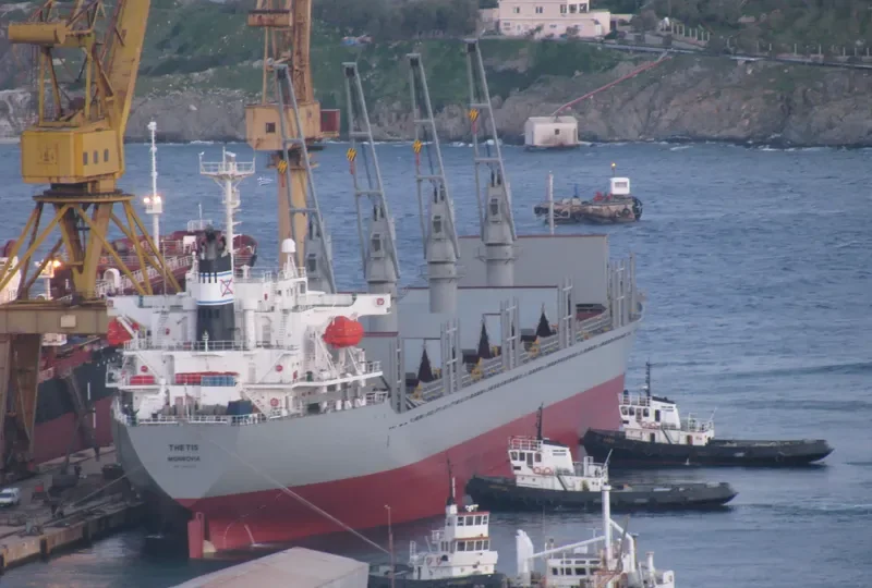 THETIS Bulk Carrier IMO 9312315 photo 10