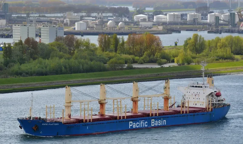 CAPE FLATTERY Bulk Carrier IMO 9312339 photo 2