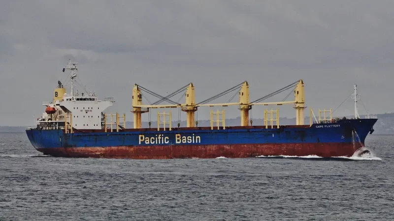 CAPE FLATTERY Bulk Carrier IMO 9312339 photo 8