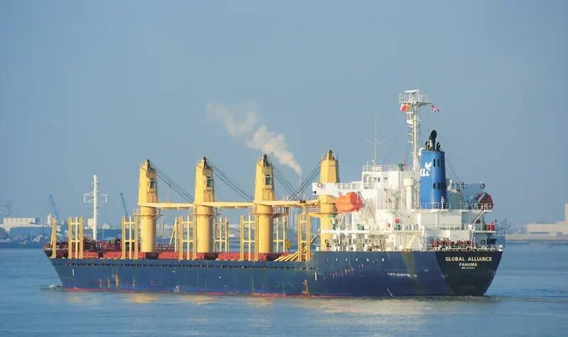 AMALIYA Bulk Carrier IMO 9312341 photo 2