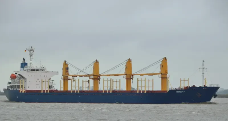 AMALIYA Bulk Carrier IMO 9312341 photo 6