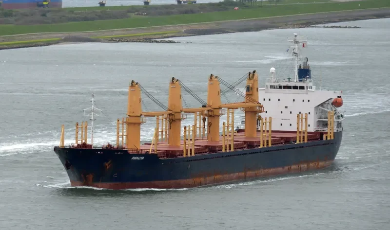 AMALIYA Bulk Carrier IMO 9312341 photo 8