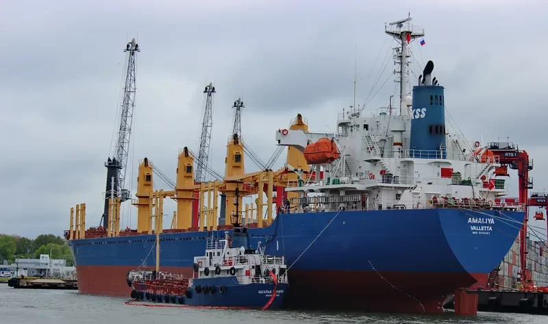 AMALIYA Bulk Carrier IMO 9312341 photo 10
