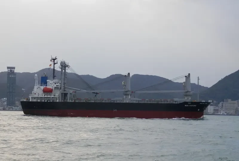 HAI LONG BRAVO General Cargo IMO 9312353 photo 4