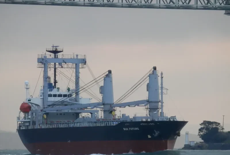 HAI LONG BRAVO General Cargo IMO 9312353 photo 5