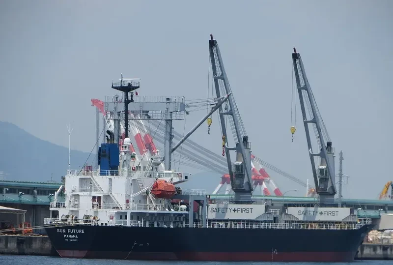 HAI LONG BRAVO General Cargo IMO 9312353 photo 6