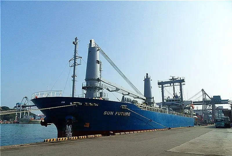 HAI LONG BRAVO General Cargo IMO 9312353 photo 7