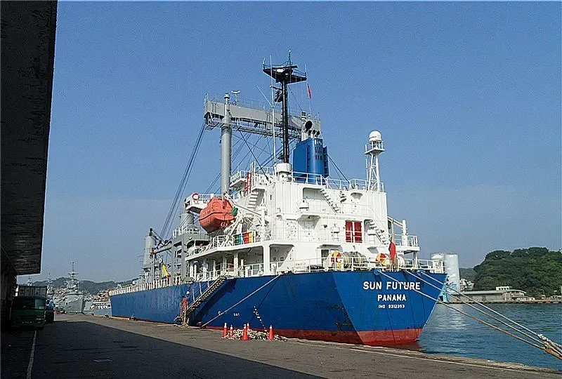 HAI LONG BRAVO General Cargo IMO 9312353 photo 8