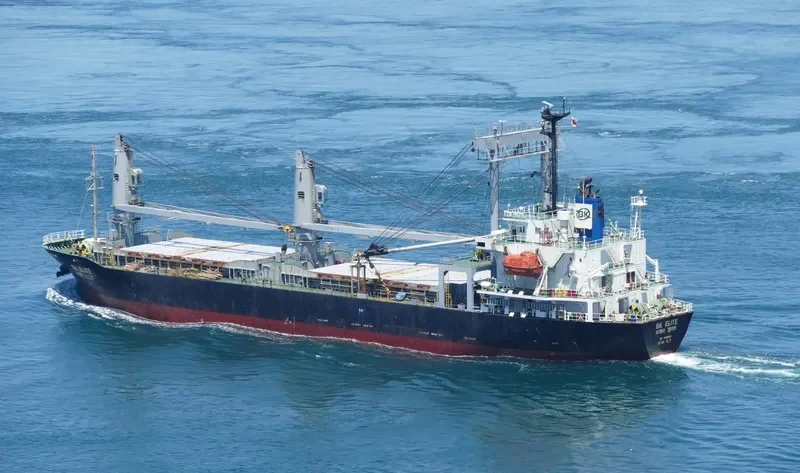 VW PEACE General Cargo IMO 9312365 photo 10