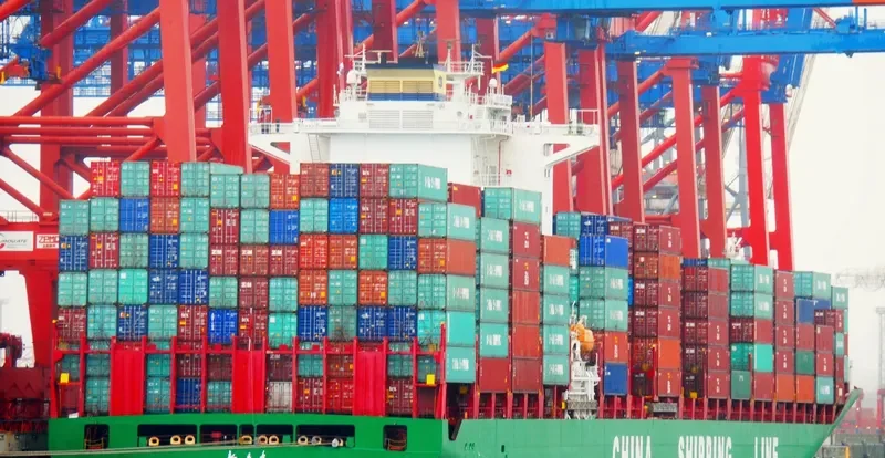 XIN DAN DONG Container Ship IMO 9312597 photo 4