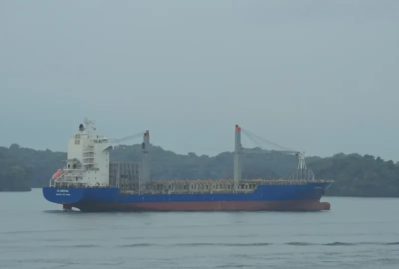 ANASSA Container Ship IMO 9312652 photo 5