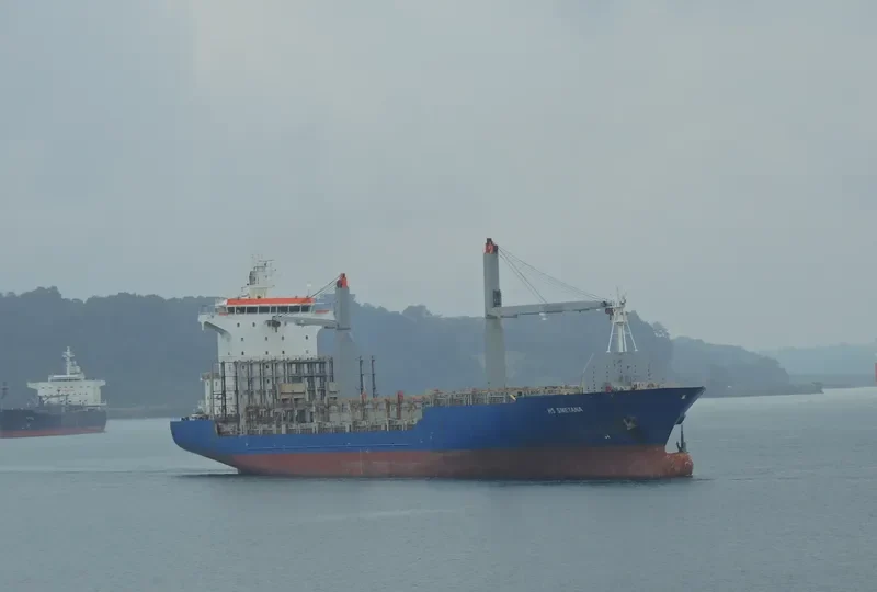 ANASSA Container Ship IMO 9312652 photo 7