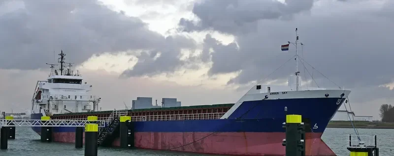 AMBER SKY General Cargo IMO 9312688 photo 3