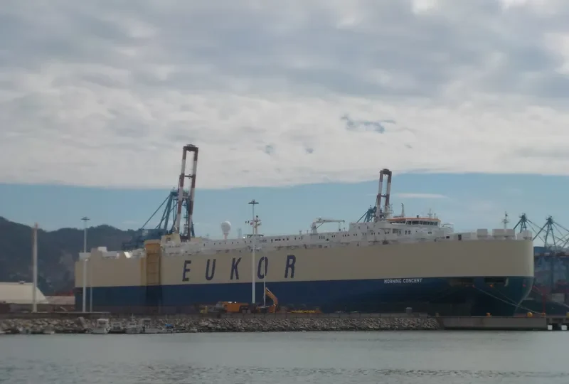 MORNING CONCERT General Cargo IMO 9312822 photo 2