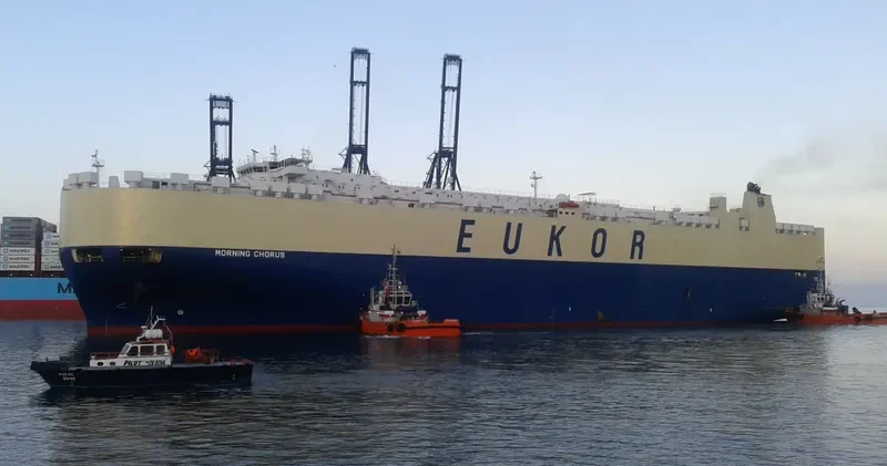 MORNING CHORUS General Cargo IMO 9312834 photo 10