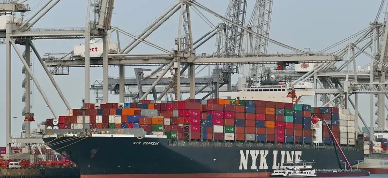 ONE ORPHEUS Container Ship IMO 9313008 photo 5