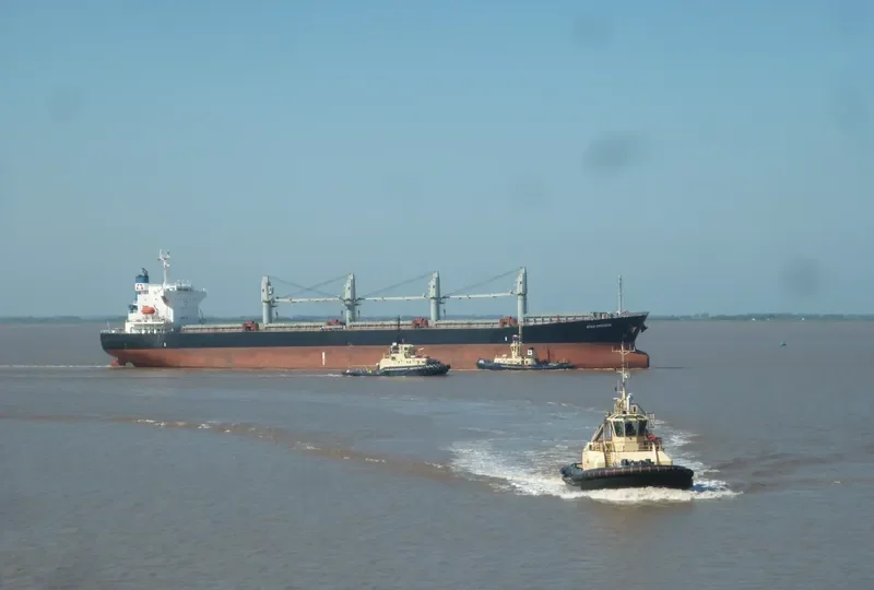 STAR OMICRON Bulk Carrier IMO 9313022 photo 7